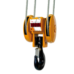 Block Hoist with Hook